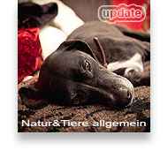 Natur & Tiere