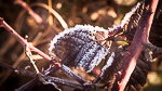 Winter Fotografie