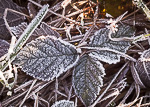Winter Fotografie