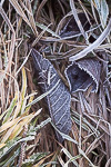 Winter Fotografie
