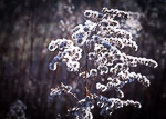 Winter Fotografie
