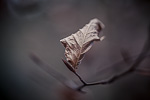 Winter Fotografie