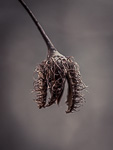 Winter Fotografie