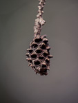 Winter Fotografie
