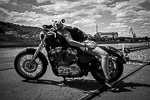 Bikerlady
