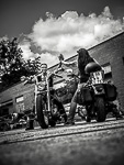 Road Roses Bikerladys
