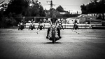 Road Roses Bikerladys
