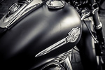 Road Roses Bike