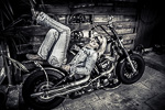 Road Roses Bikerlady